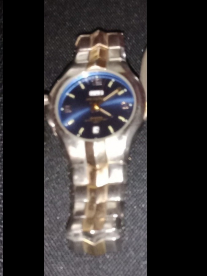 TwoTone Stainless Steel Watch With Blue Dial